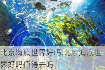 北京海底世界好吗,北京海底世界好吗值得去吗