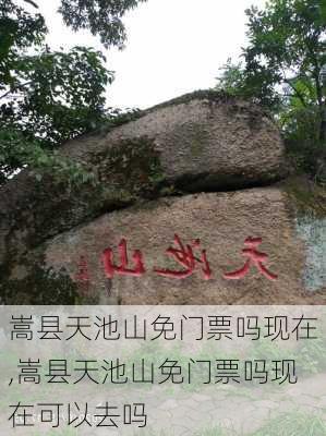 嵩县天池山免门票吗现在,嵩县天池山免门票吗现在可以去吗