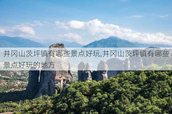 井冈山茨坪镇有哪些景点好玩,井冈山茨坪镇有哪些景点好玩的地方