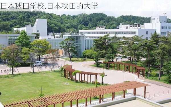 日本秋田学校,日本秋田的大学