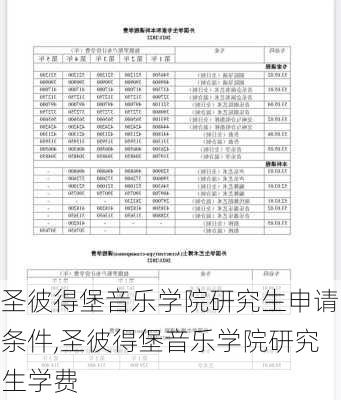 圣彼得堡音乐学院研究生申请条件,圣彼得堡音乐学院研究生学费