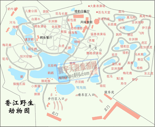 香江野生动物园地图全景,香江野生动物园地图全景图