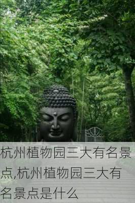 杭州植物园三大有名景点,杭州植物园三大有名景点是什么