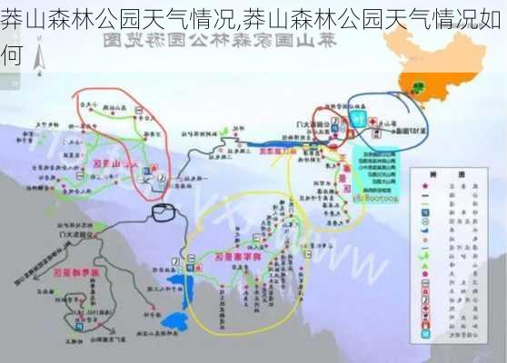 莽山森林公园天气情况,莽山森林公园天气情况如何