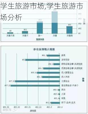 学生旅游市场,学生旅游市场分析