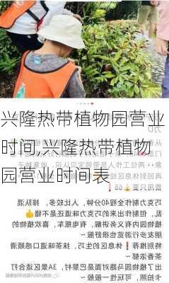 兴隆热带植物园营业时间,兴隆热带植物园营业时间表