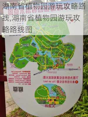 湖南省植物园游玩攻略路线,湖南省植物园游玩攻略路线图