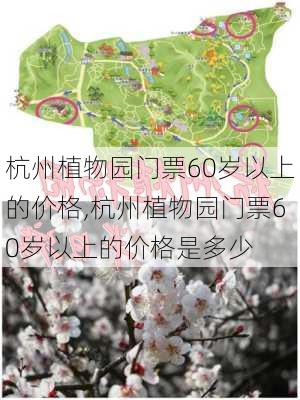 杭州植物园门票60岁以上的价格,杭州植物园门票60岁以上的价格是多少