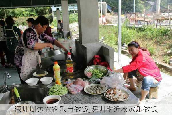 深圳周边农家乐自做饭,深圳附近农家乐做饭