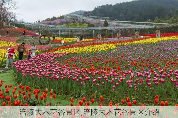 涪陵大木花谷景区,涪陵大木花谷景区介绍