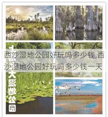 西沙湿地公园好玩吗多少钱,西沙湿地公园好玩吗多少钱一天