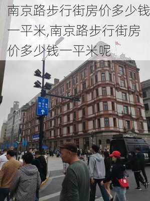 南京路步行街房价多少钱一平米,南京路步行街房价多少钱一平米呢